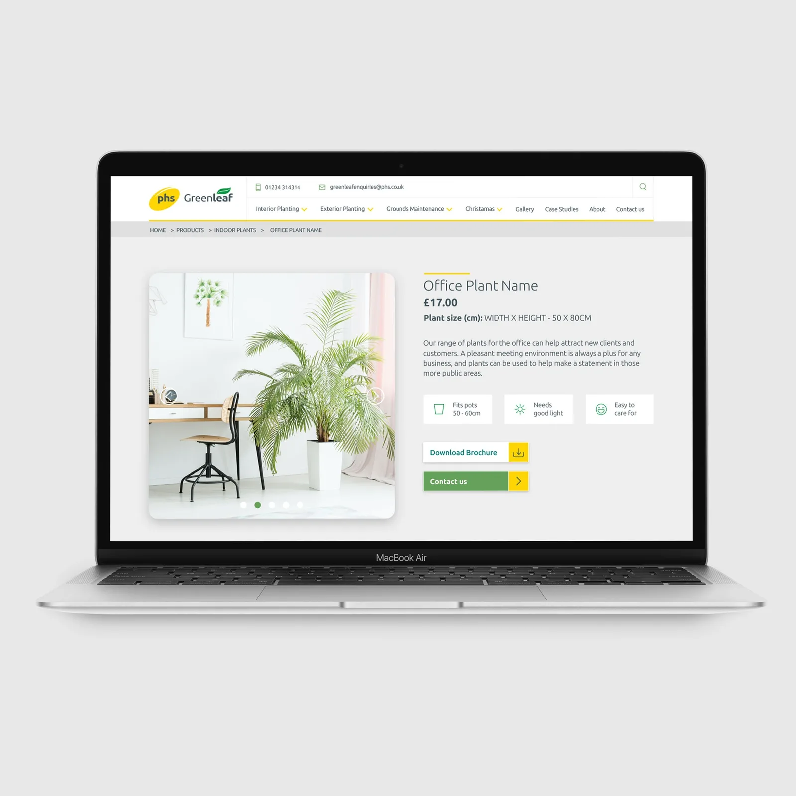 Greenleaf office plant product page